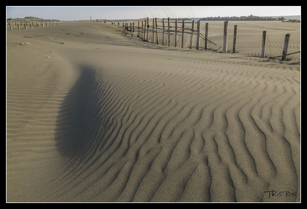 _H1A4400.jpg - 20170521 國聖燈塔