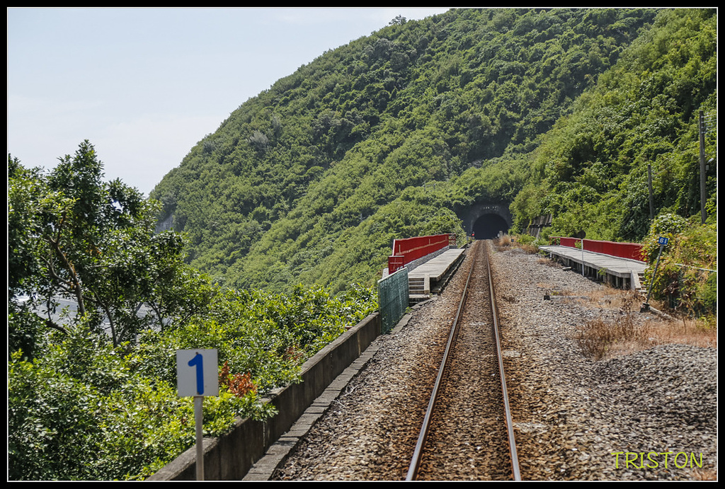 _H1A8379.jpg - 20171004 3671次藍皮普通車+鎮安車站