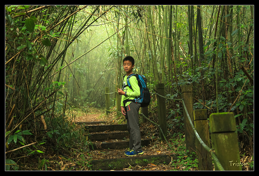 JH1A9753.jpg - 20150920 石棹,霧之道 茶之道 雲之道