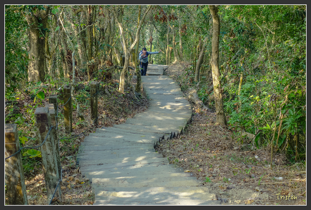 DSC00627.jpg - 20151229 鈺鼎步道
