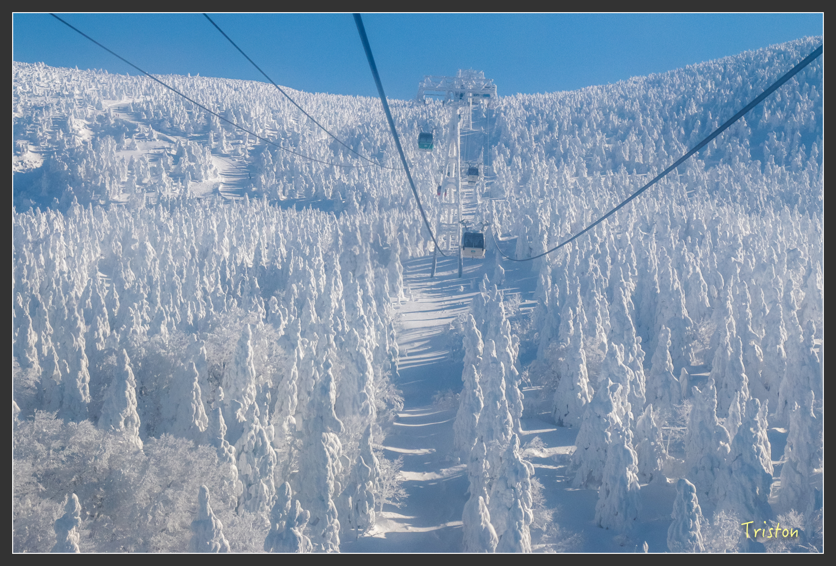 2016ZAO-01537.jpg - 20160131 日本藏王溫泉滑雪親子行