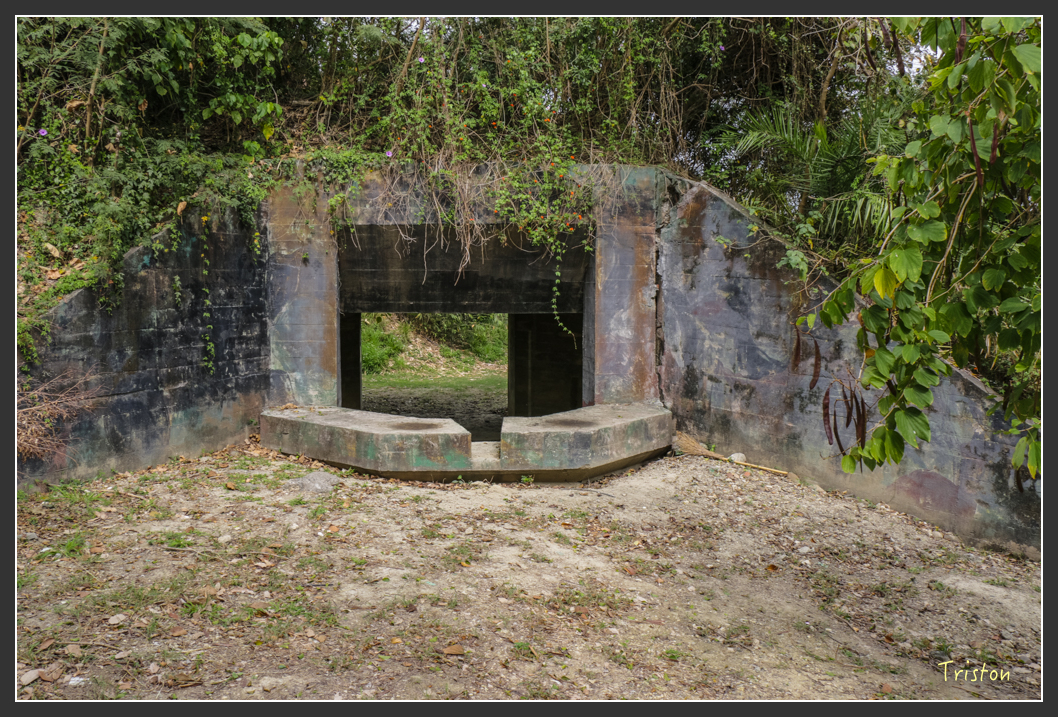 IMG_3182.jpg - 20160220 小崗山健行步道