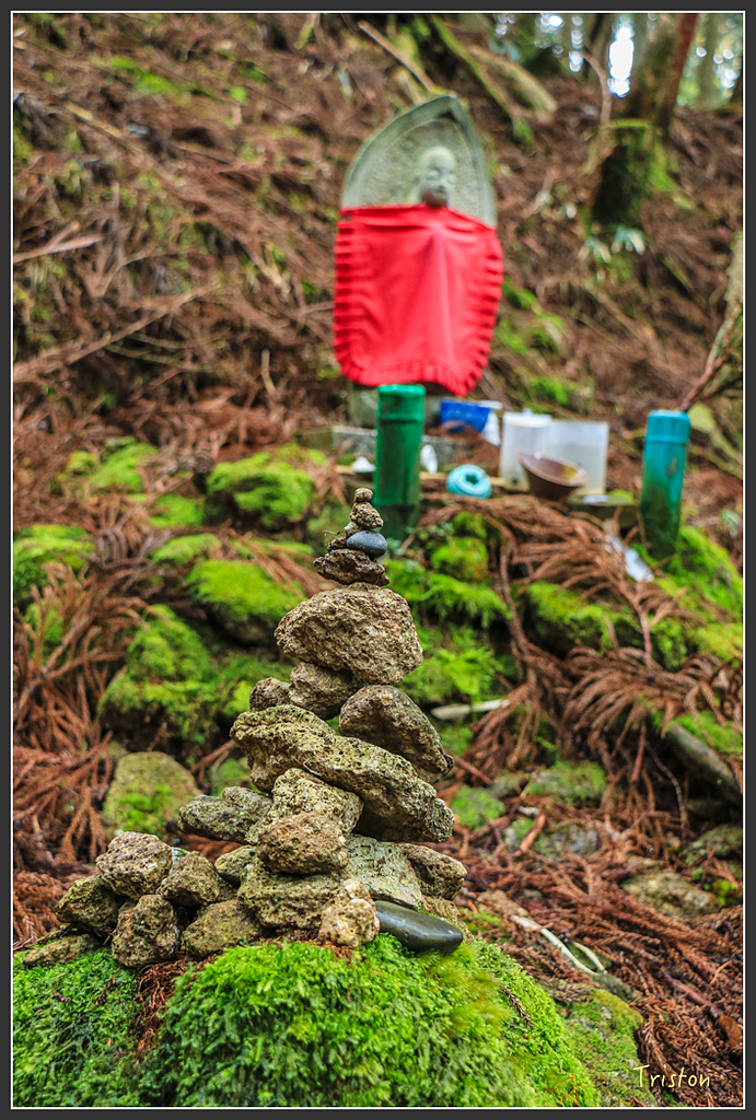 IMG_5538.jpg - 20160323 日本熊野古道健行