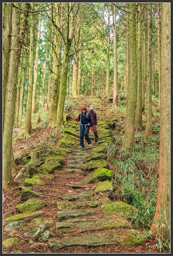 IMG_5588.jpg - 20160323 日本熊野古道健行