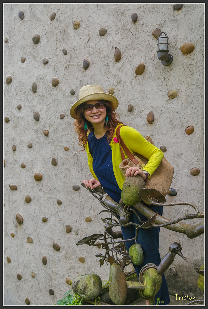 JH1A8793.jpg - 20160426 銅鑼天空步道、天空之城、荷苞山