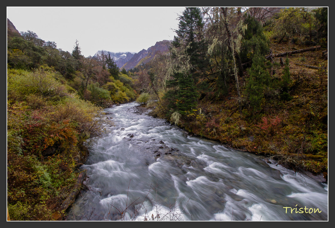 _MG_0917.jpg - 20161013 稻城亞丁