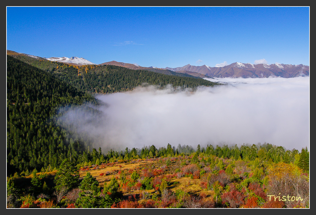 _MG_0474.jpg - 20161013 稻城亞丁