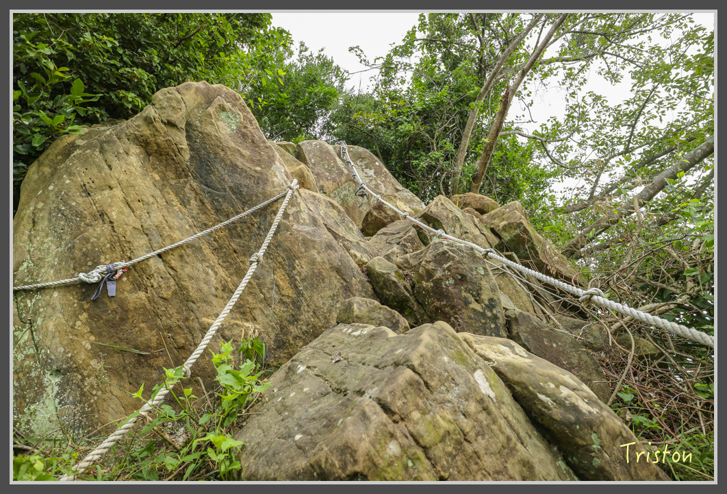 IMG_1950.jpg - 20161130 高雄旗尾山