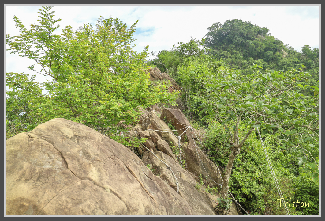 IMG_1951.jpg - 20161130 高雄旗尾山