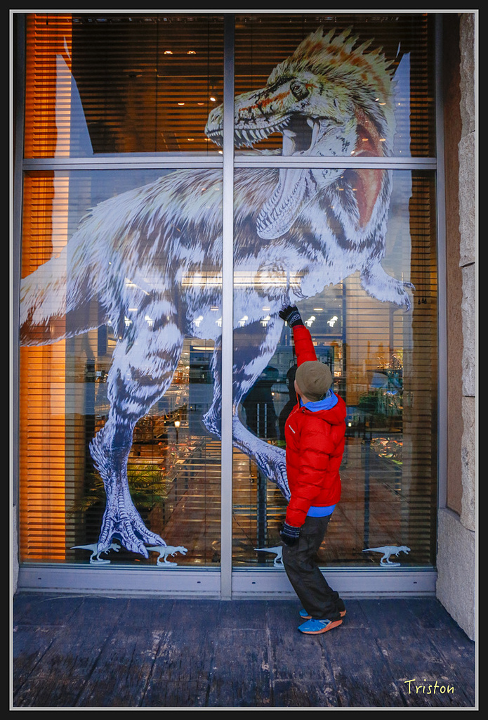 Canon-601.jpg - 20170120 大阪神戶親子遊 