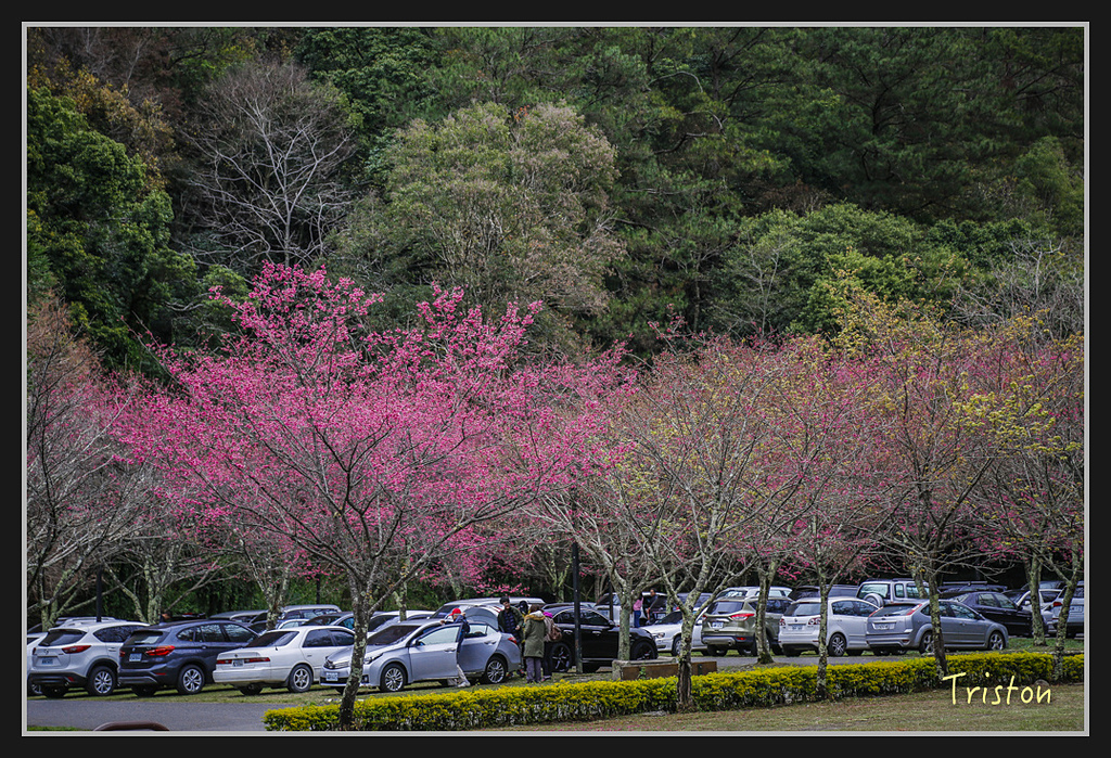 _H1A2425.jpg - 20170212 武界 萬大電廠 奧萬大