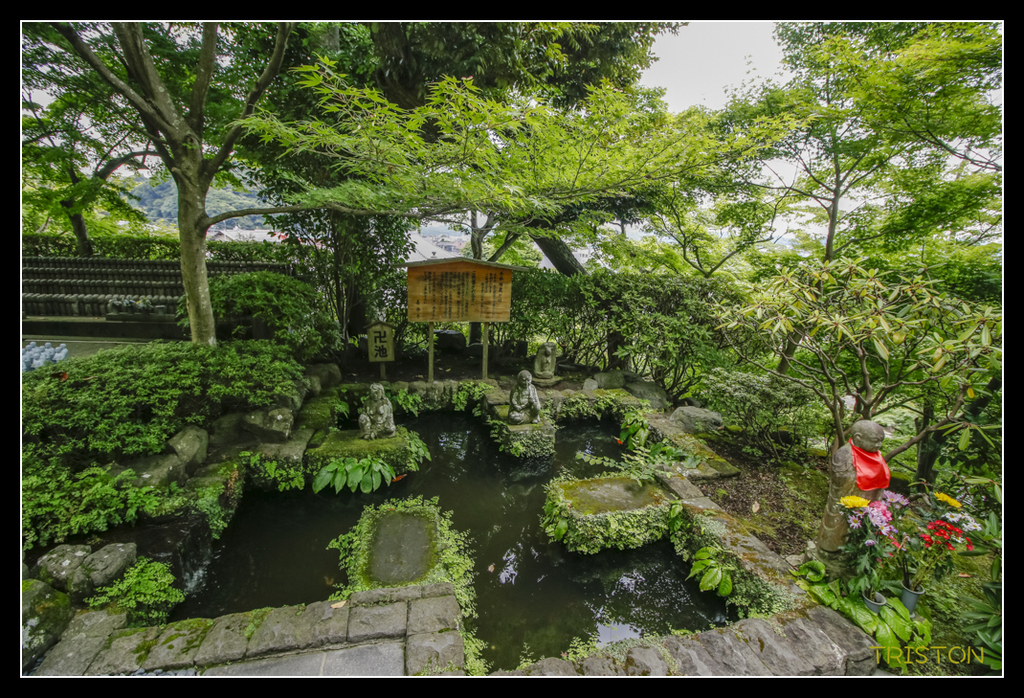 _MG_1452.jpg - 20170702 靜岡東海道之旅