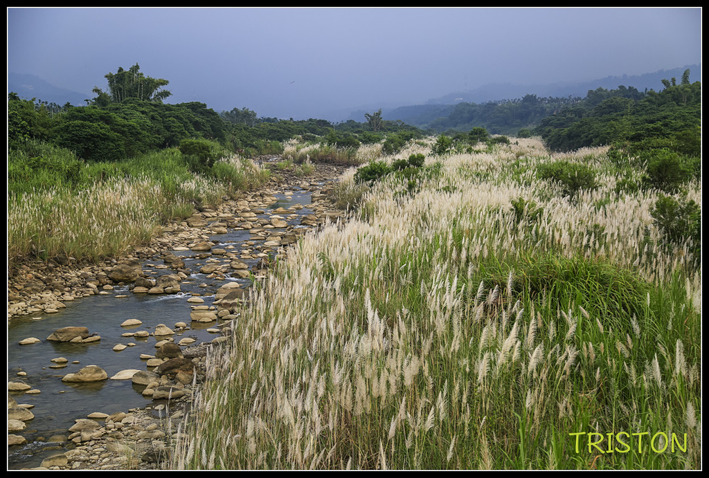 _H1A7430.jpg - 20170923 竹崎牛稠溪鐵橋火車