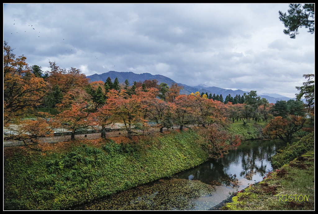 _H1A0988.jpg - 20171103 日本只見線、會津若松五色沼、昭和記念公園賞紅葉