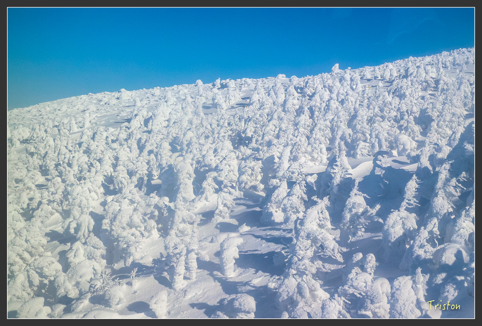 2016ZAO-01569.jpg - 20160131 日本藏王溫泉滑雪親子行