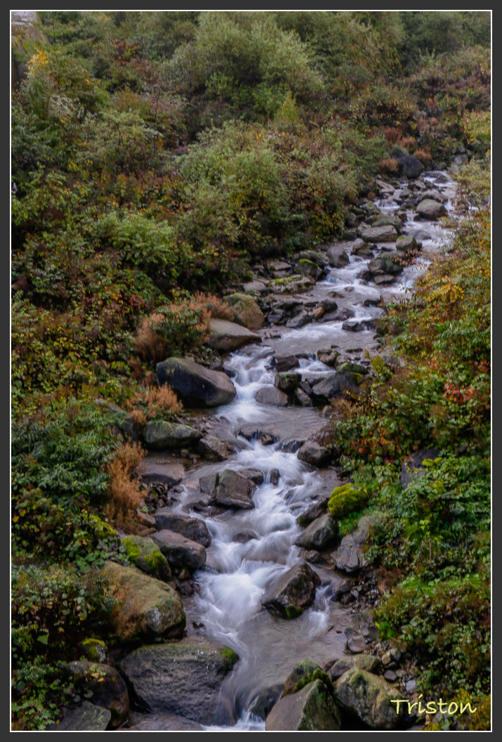 _MG_2777.jpg - 20161013 稻城亞丁