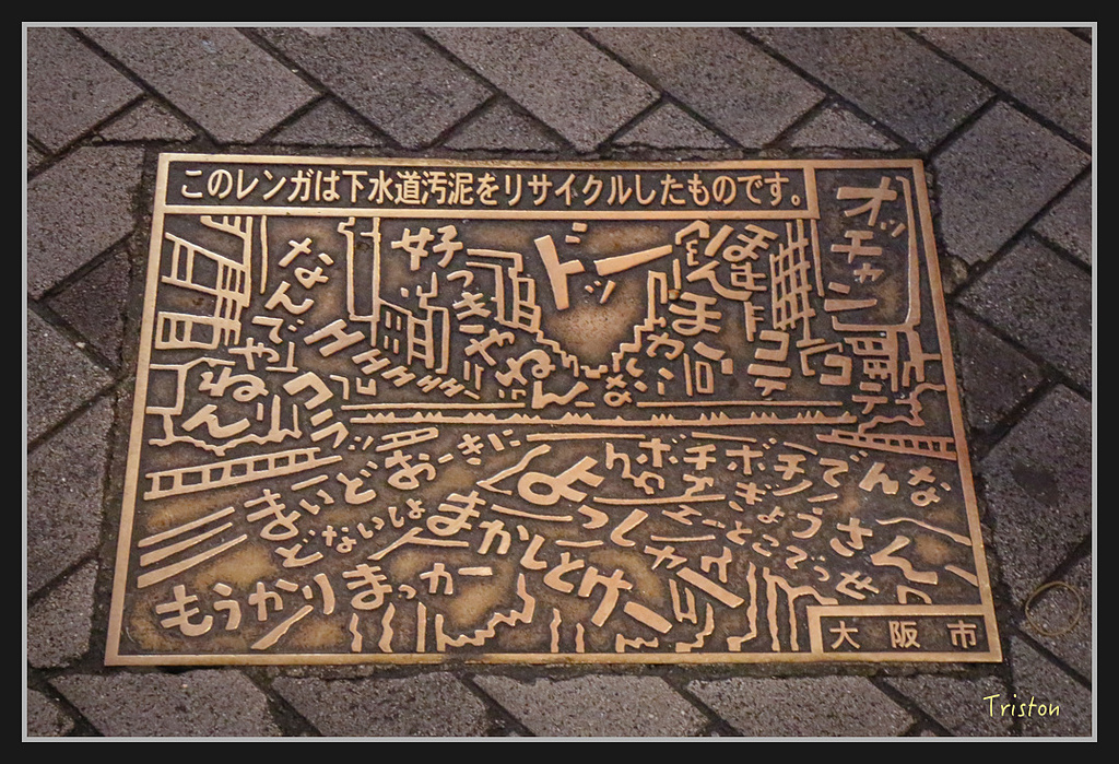 Canon-300.jpg - 20170120 大阪神戶親子遊 