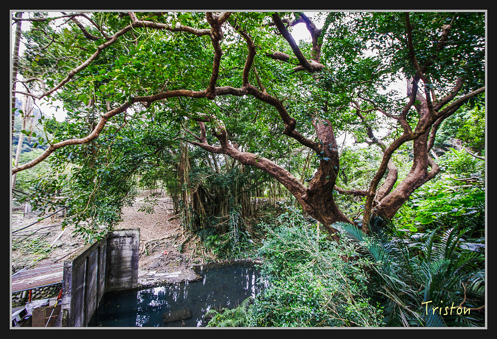 2017-02-27 10.03.54 下午 _MG_0769.jpg - 20170225 玉里瓦拉米