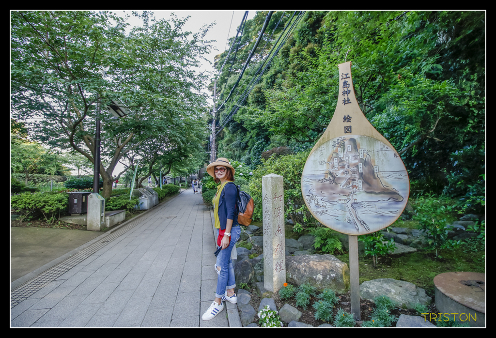 _MG_1643.jpg - 20170702 靜岡東海道之旅