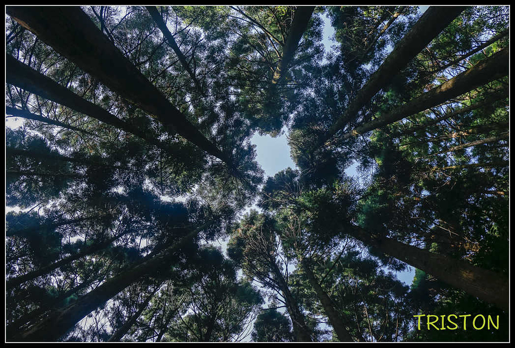 _MG_0184.jpg - 20170920 加里山