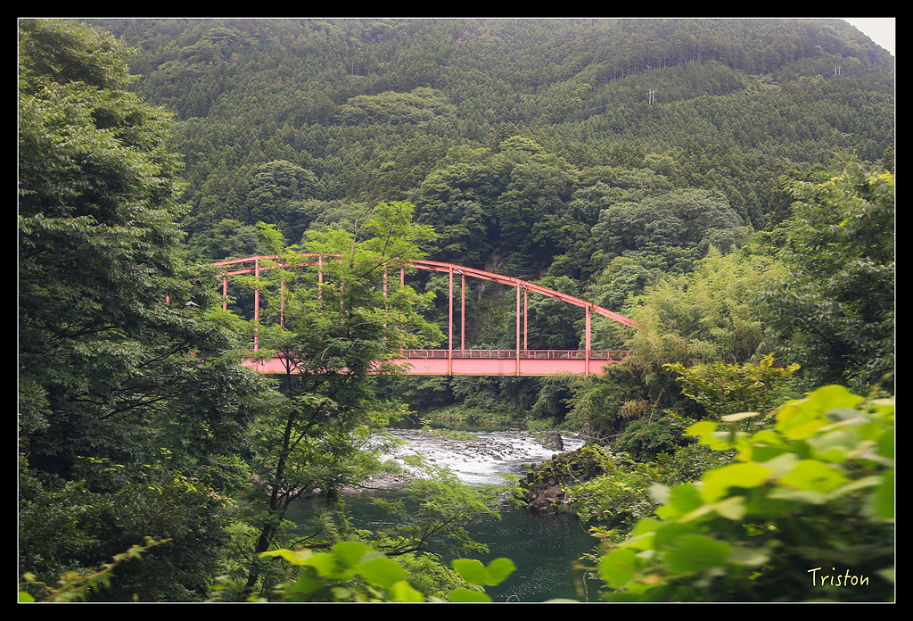 JH1A9752.jpg - 20150628 東京輕井澤日光