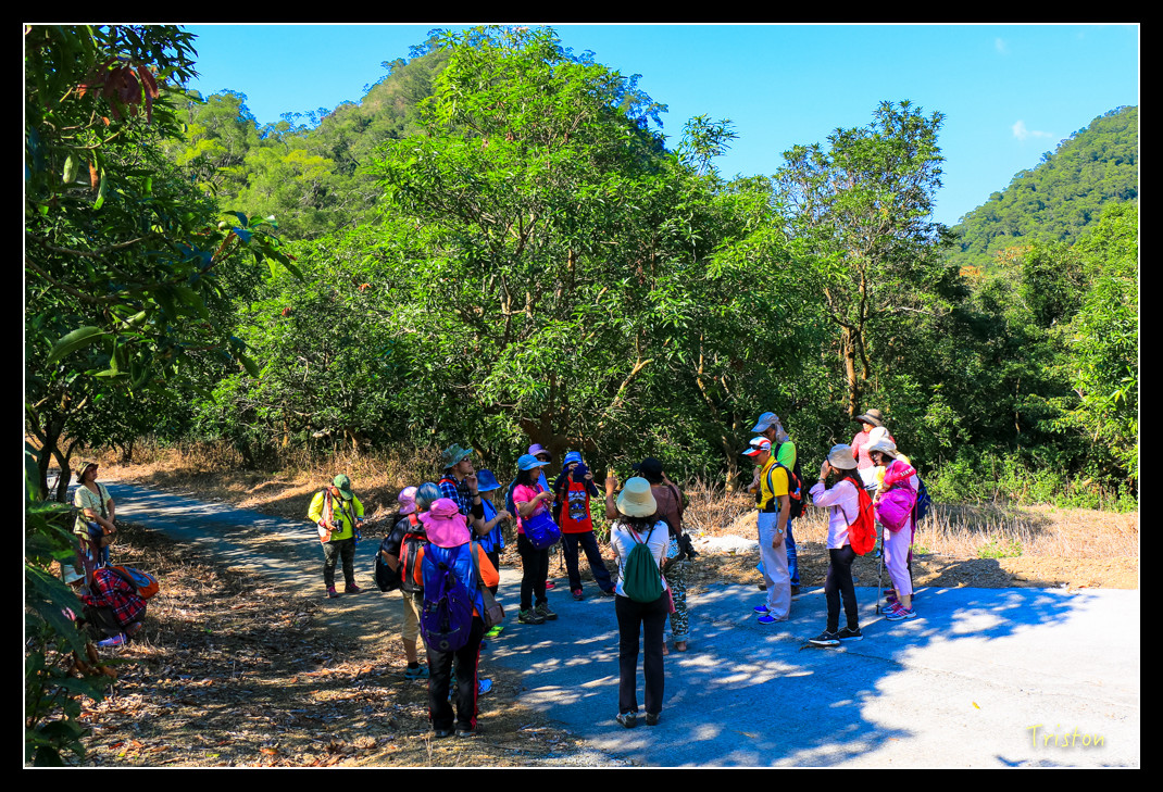 IMG_9458.jpg - 20151202 老七佳部落