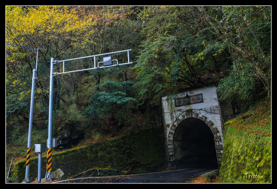 JH1A1067.jpg - 20151205 合歡溪步道、108K楓之谷