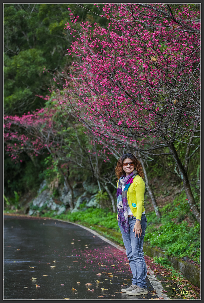 JH1A8167.jpg - 20160111 吉露、阿禮部落