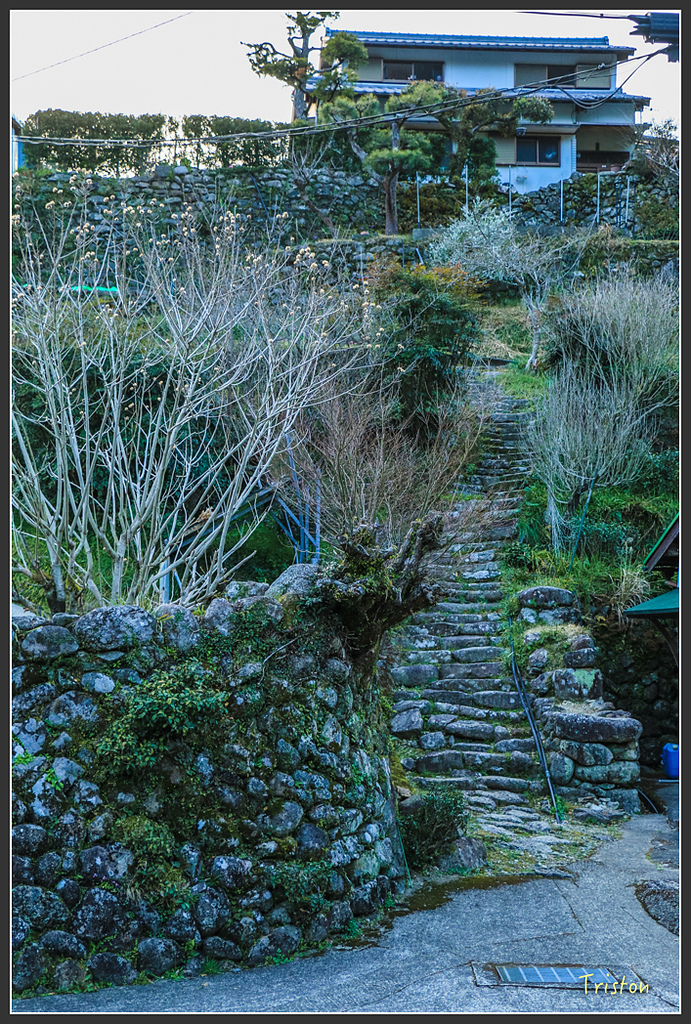 IMG_5261.jpg - 20160323 日本熊野古道健行