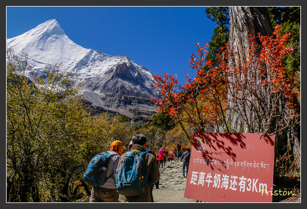 _MG_1753.jpg - 20161013 稻城亞丁