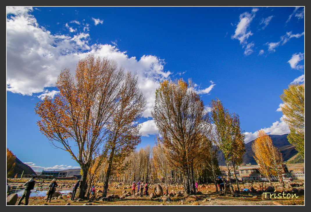 _MG_1566.jpg - 20161013 稻城亞丁