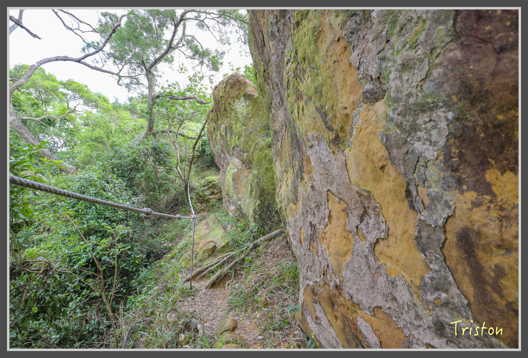 IMG_1949.jpg - 20161130 高雄旗尾山