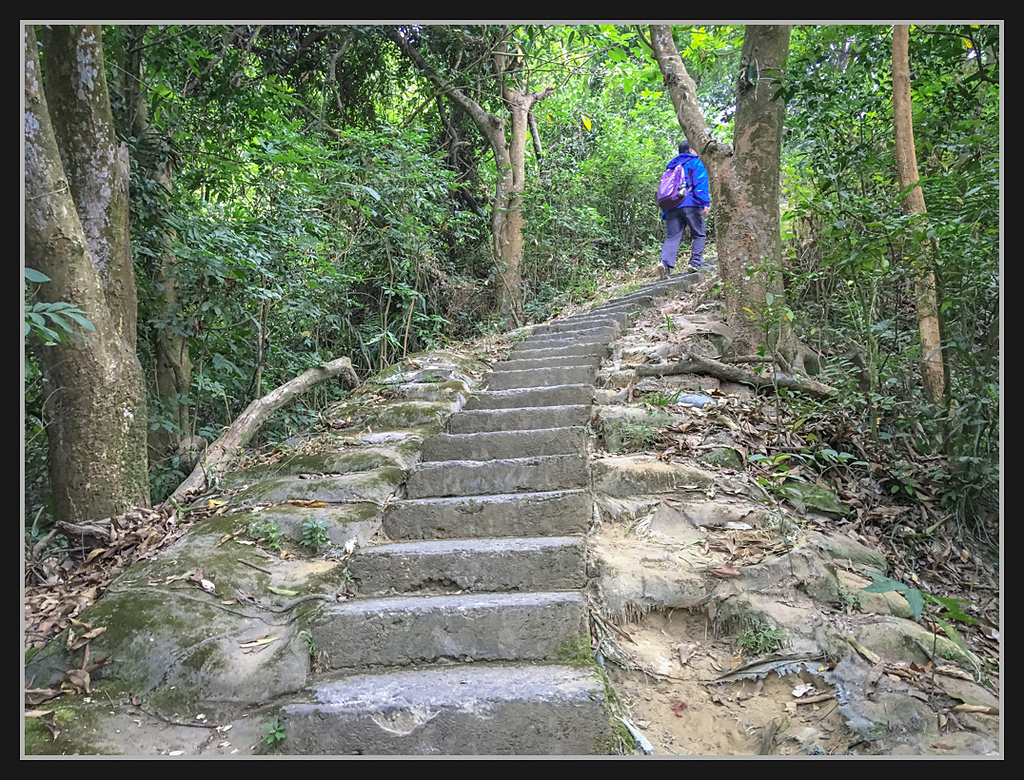IMG_2127.jpg - 20170204 大社觀音山