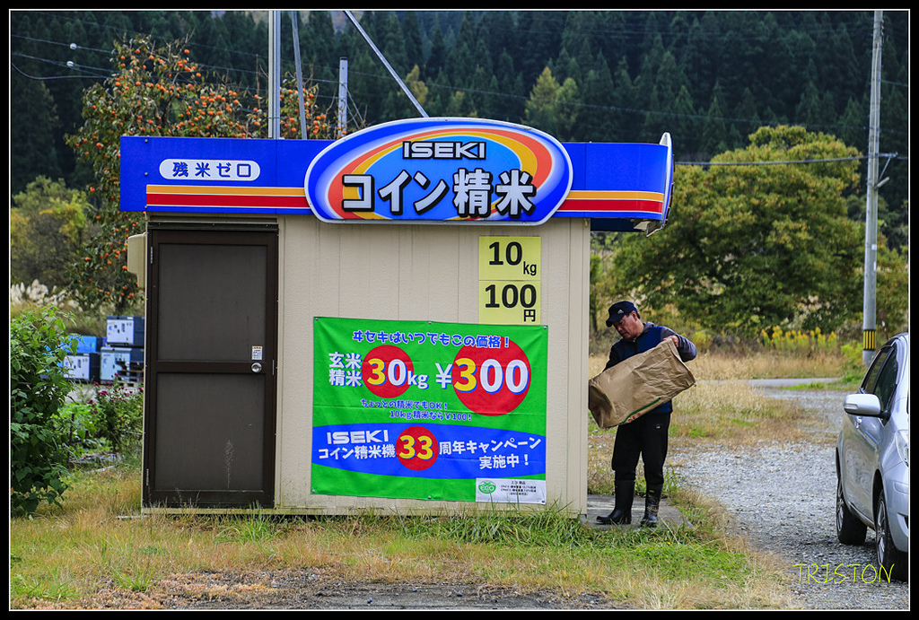 _H1A0634.jpg - 20171103 日本只見線、會津若松五色沼、昭和記念公園賞紅葉