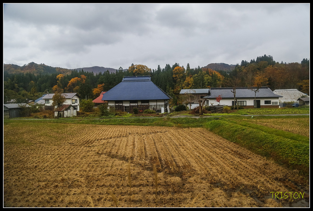 _H1A0833.jpg - 20171103 日本只見線、會津若松五色沼、昭和記念公園賞紅葉