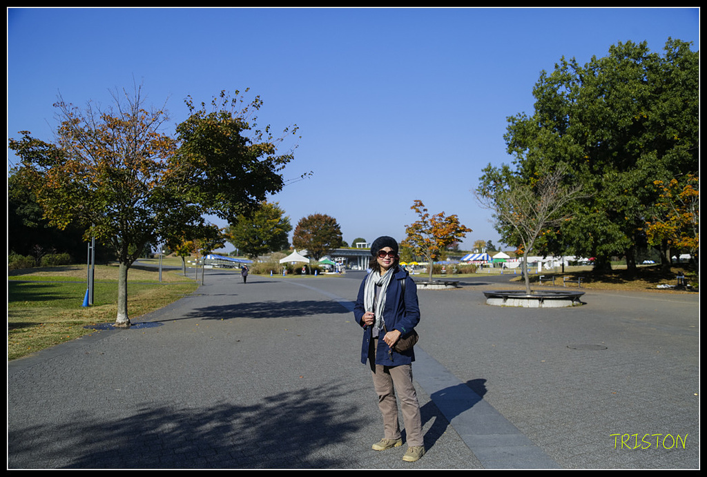 _H1A1537.jpg - 20171103 日本只見線、會津若松五色沼、昭和記念公園賞紅葉