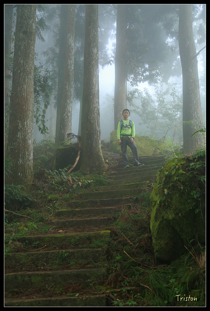 JH1A9767.jpg - 20150920 石棹,霧之道 茶之道 雲之道