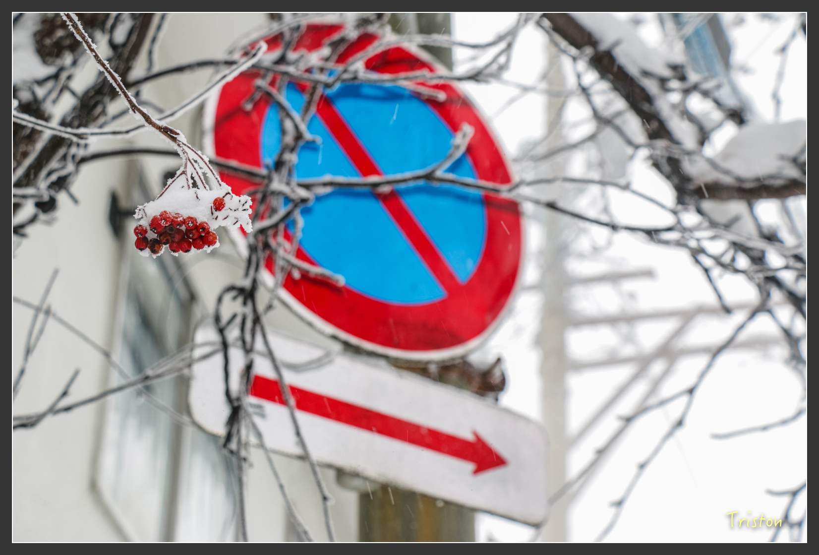 2016ZAO-01309.jpg - 20160131 日本藏王溫泉滑雪親子行