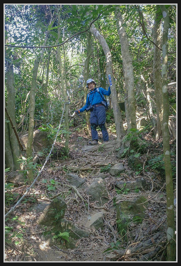 15556510_627378547468701_260823053_o.jpg - 201161217 旗靈縱走