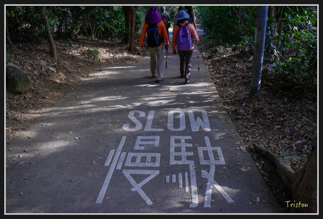 0059.jpg - 20170107 香港健行