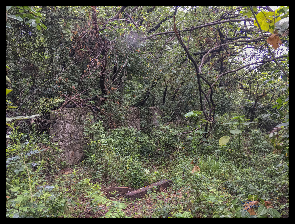 IMG_2767.jpg - 20170422 左營龜山步道、舊城