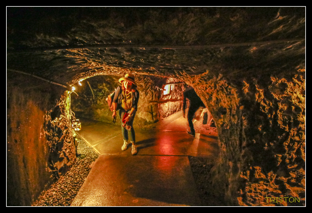 _MG_1494.jpg - 20170702 靜岡東海道之旅