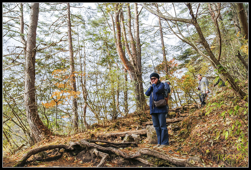 _H1A1175.jpg - 20171103 日本只見線、會津若松五色沼、昭和記念公園賞紅葉