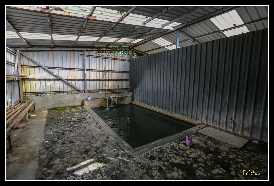 JH1A0548.jpg - 20151205 合歡溪步道、108K楓之谷