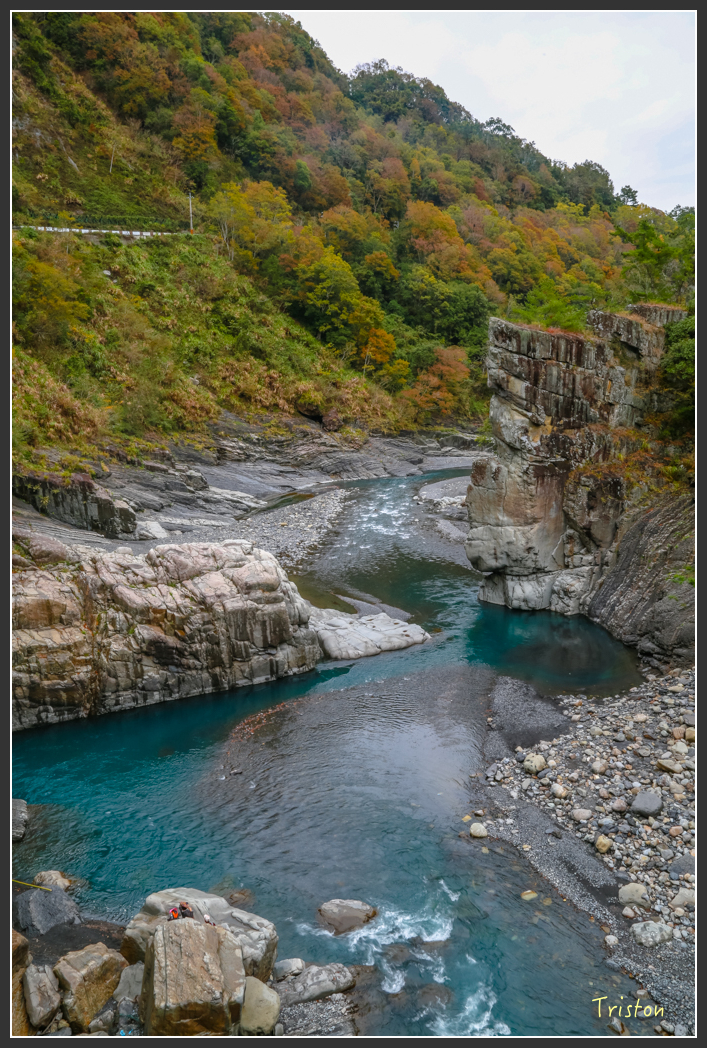 JH1A1324.jpg - 20151221 新竹秀巒賞楓