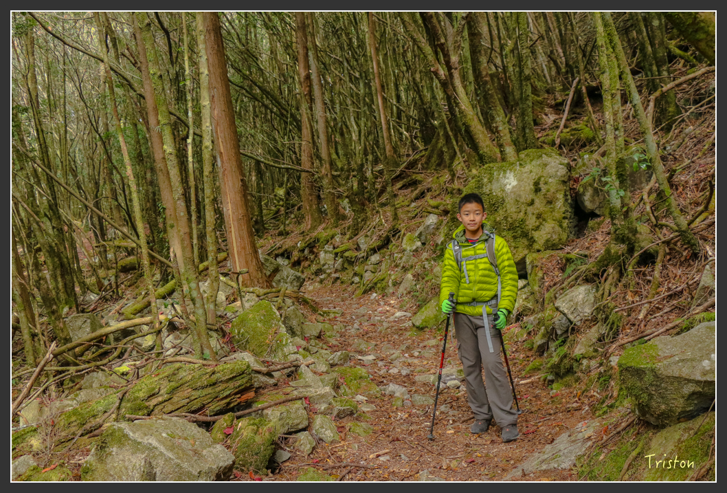 IMG_1115.jpg - 20151219 鳶嘴稍來山、小雪山林道