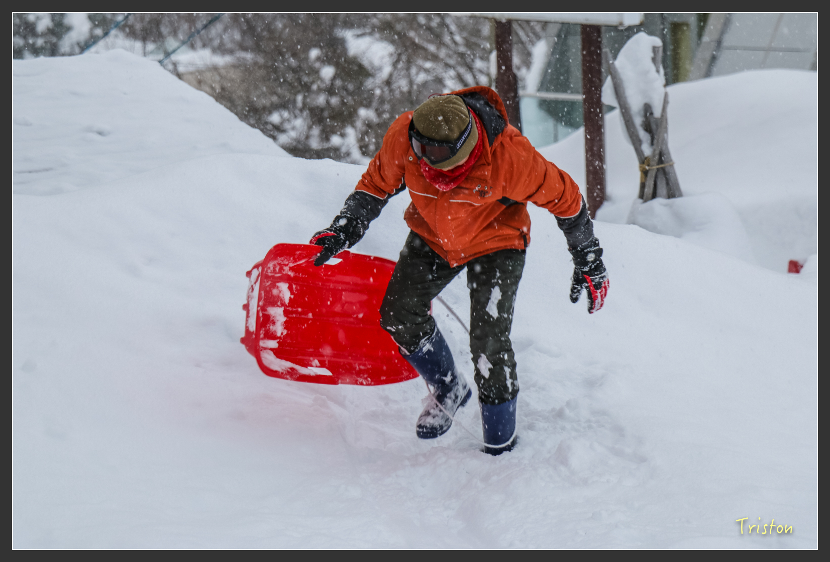 2016ZAO-02050.jpg - 20160131 日本藏王溫泉滑雪親子行