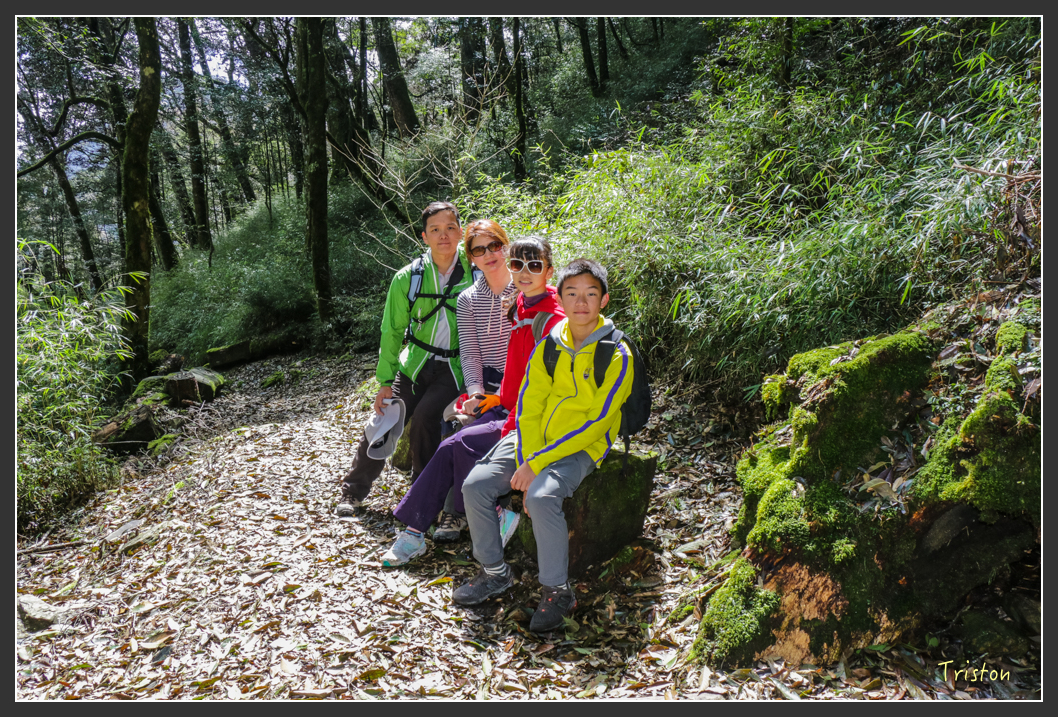 IMG_3423.jpg - 20160227 觀霧森林步道