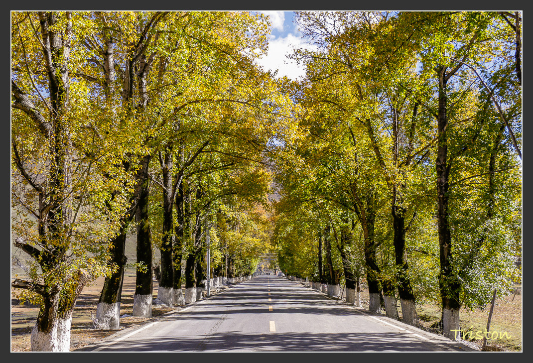 _MG_1296.jpg - 20161013 稻城亞丁