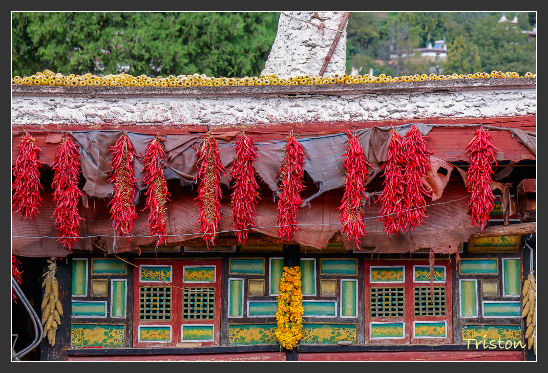 _MG_1117.jpg - 20161013 稻城亞丁